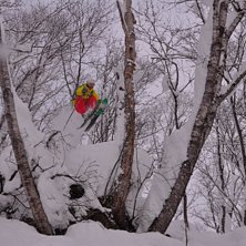Foto: Mattias matte Fredler. &Aring;kare: Nils Hallgren.
