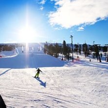 Foto: Kajsa G&ouml;ransson.