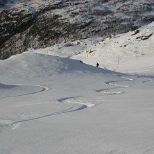 H&auml;rlig l&ouml;ssn&ouml;&aring;kning i en backe bakom tv-tornet. Foto: Anna Kylner. &Aring;kare: Mattias Kylner.