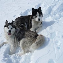 Foto: G&ouml;ran. &Aring;kare: Aslan&amp;amp;Manu.