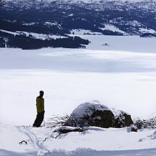 Foto: Petter Nyholm. &Aring;kare: Adam Sv&auml;rd.