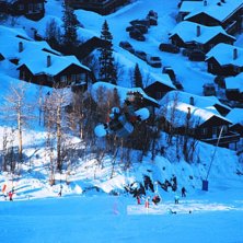 Foto: Tolle. &Aring;kare: Dennis Lind.