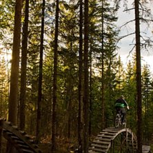 Foto: Mattias Johansson. &Aring;kare: Tobias Liljeroth.