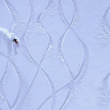 Dav bl&aring;ser p&aring;. Foto: P&auml;r Blomqvist. &Aring;kare: david Rothenbusch.