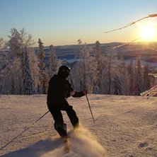 S&auml;songens f&ouml;rsta dag. Fint ljus p&aring; eftermiddage. Foto: Bj&ouml;rn Nilsson. &Aring;kare: Jonas Muntlin.