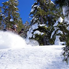 Foto: Per Danielsson. &Aring;kare: Carl Danielsson.