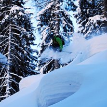 Skogs&aring;kning i Sch&ouml;ngraben. Foto: Jimmy Andersson. &Aring;kare: Jesper Nilsson.