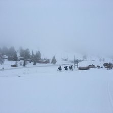 Fredag 10.Mars
-1 grad og sn&oslash;v&aelig;r. Det har komt 5.