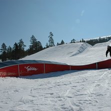 Foto: Carolina person. &Aring;kare: Martin Olson.
