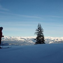Foto: mats. &Aring;kare: vero.