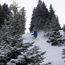 Sp&aring;rar i Gotschna utan konkurrens... =). Foto: Kristofer Hallgren. &Aring;kare: Johan J&ouml;nsson.