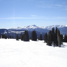 Foto: Magnus Larsson.