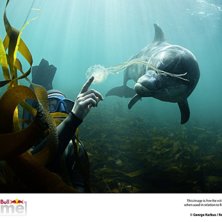 Foto: George Karbus. &Aring;kare: Katerina Hamsikova.