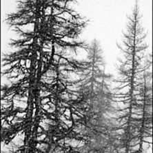 Sn&ouml; sn&ouml; och mera sn&ouml;!
Kom 90 cm p&aring; tv&aring; dagar. Foto: Fader. &Aring;kare: Simon Pont&eacute;r.