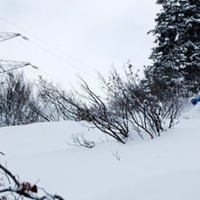 Foto: Marcus Tietjens. &Aring;kare: Marcus Tietjens.