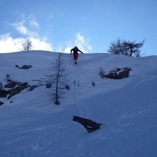 lite platt landing tyv&auml;rr... Foto: Kirsi Rautio. &Aring;kare: Hans Lind.