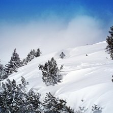 En underbar bild n&auml;r Mikael pumpar puder :). Foto: Andreas Isaksson. &Aring;kare: Mikael Hjorth.