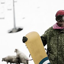 Stryn Ocensurerat. Foto: Kristoffer Andersson. &Aring;kare: Lambi.