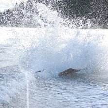 Foto: jojje johansson. &Aring;kare: johan rasmussen.