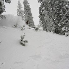 Foto: Johan tapani. &Aring;kare: Martin kobb.