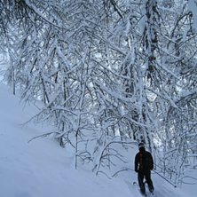 utflykt p&aring;v&auml;g ner till botten p&aring; GM.. . Foto: Lawrie Brand. &Aring;kare: j.sturesson.