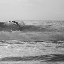 australia er en herlig plass om man liker cut-back. Foto: Sveinung Svendsen. &Aring;kare: ukjent.