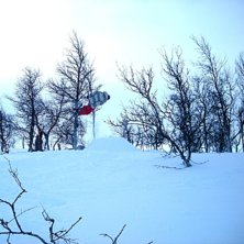 f&ouml;rs&ouml;k p&aring; Cork 540. Foto: Therese Nilson. &Aring;kare: Pernilla Johansen.