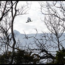 Cabsnurr i Ramis-cornern. Foto: Mattias Klockar. &Aring;kare: Anders Nises.