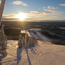 En solig dag i k&aring;bban.