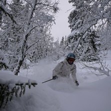 Lite nysn&ouml; ;). Foto: Emil Lidberg. &Aring;kare: MB.