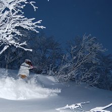 Foto: johan olsson. &Aring;kare: hanna skogsberg.