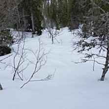 Tandådalen/Hundfjället Foto