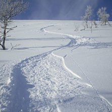 Foto: Oscar Gustavsson.