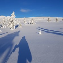 F&ouml;ljer stigen upp.