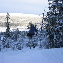 jag hoppar p&aring; litet hopp i t&auml;t skog!. Foto: Mikael Nilsson. &Aring;kare: Fredrik Nilsson.