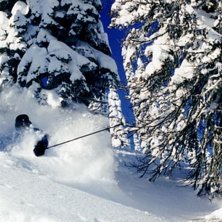 Efter 9!! dagar med sn&ouml; tittade solen fram.. Foto: Cecilia Borestr&ouml;m. &Aring;kare: Mattias Johansson.