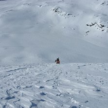 P&aring; v&auml;g upp.... Foto: Fredrik Sidev&auml;rn. &Aring;kare: Dr.Lundborg.