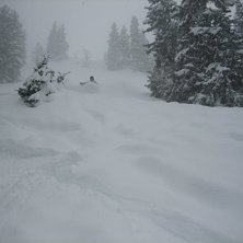 Foto: Marcus Jarl&ouml;. &Aring;kare: Tobias Rydberg.