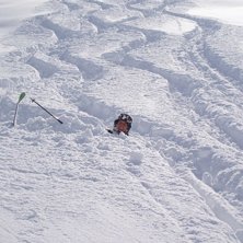 Bullen &auml;r k&auml;r. Foto: David Hammarberg. &Aring;kare: Daniel Bullarbo.