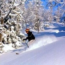 Danne the powder puffer. Foto: P&auml;r Lindholm. &Aring;kare: Daniel Widell.