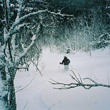 Foto: Patrik Samuelsson. &Aring;kare: Staffan Till.