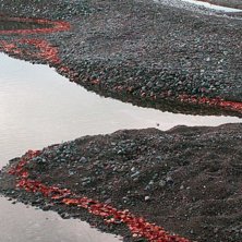 Foto: Agneta emmoth.