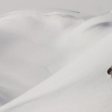 Foto: craig dammit (http://www.gitgo.ch/). &Aring;kare: Christoffer Granbom.