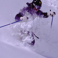 N&auml;rbild fr&aring;n en underbar dag under p&aring;sklovet.
. Foto: Andrew Lerner (thanks again). &Aring;kare: Arvid Hejll.