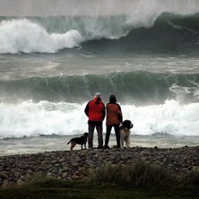 Foto: Johan Berglund.