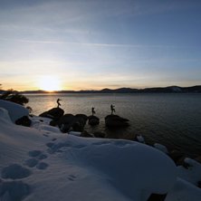 Solnedg&aring;ng vid Lake Tahoe.. Foto: Gustav Samuelsson. &Aring;kare: Micke J&ouml;rgensen, Jesper Tengvall och Oskar Brandberg.