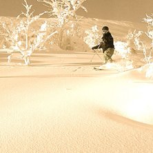 Foto: P&auml;r Sundqvist. &Aring;kare: H&aring;kan Nilsson.