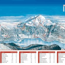 &Aring;re vill dit igen,h&auml;rliga pister!.