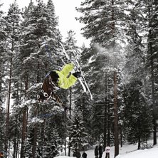 flirre. Foto: Daniel H&auml;llsten. &Aring;kare: Olle Karlsson.