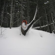 Foto: Edvin Gepertz. &Aring;kare: Filip Gepertz.
